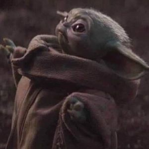 Meet your Posher, Becca